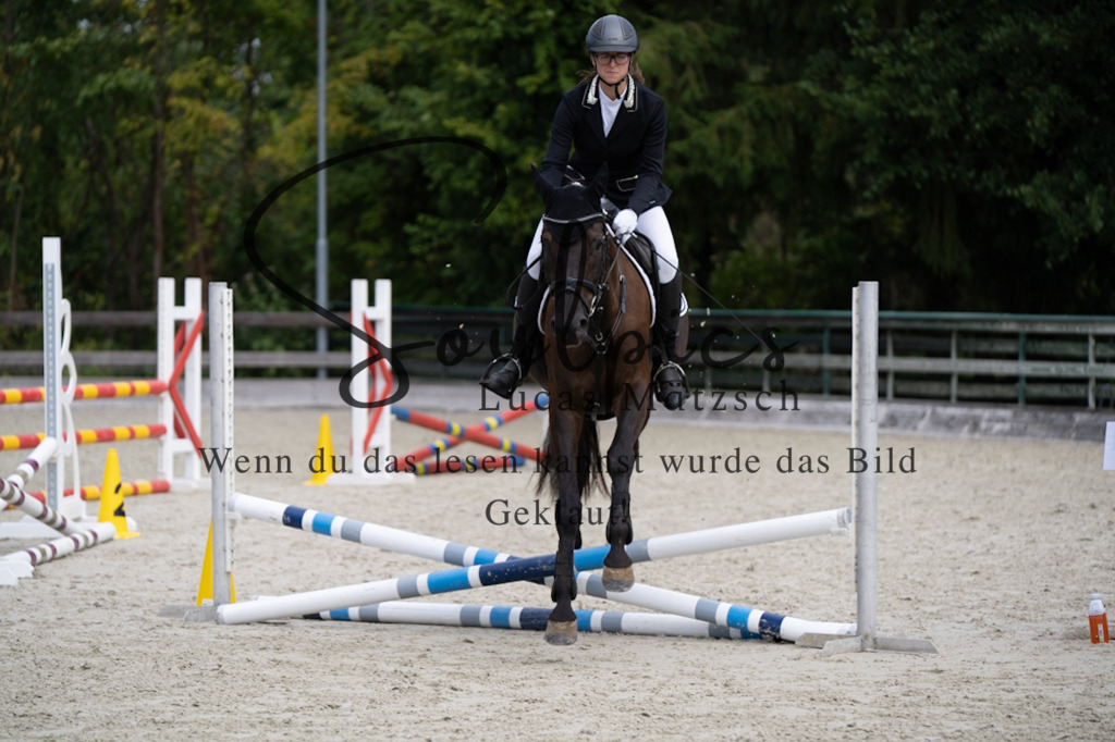 A7V07126 | Pferdefotograf