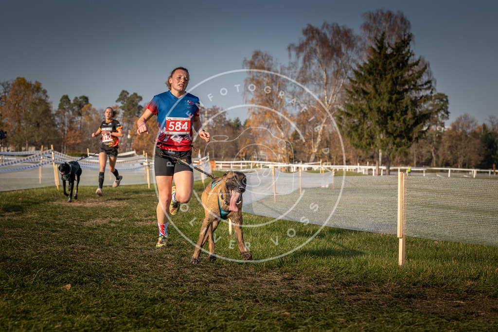 CaniXpix_0L8A9902 | Hundefotografie, Tierfotograf, Pfotenfotografie, Fotoshooting Hund, Hunde Portrait, Hundesport, Hundeportraits, Heideshooting, Hunde, Sportfotograf, Hundefotograf, Turnierhundsport, THS,  - Realisiert mit Pictrs.com