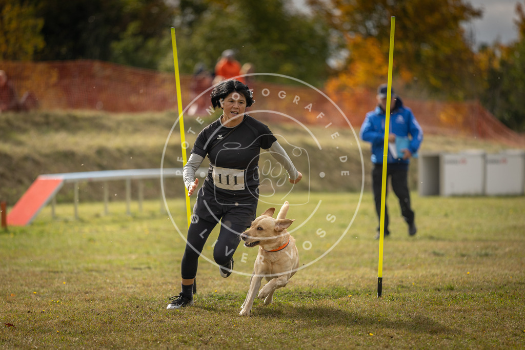 Pfotenfotografie_DV3A7143 | Hundefotografie, Tierfotograf, Pfotenfotografie, Fotoshooting Hund, Hunde Portrait, Hundesport, Hundeportraits, Heideshooting, Hunde, Sportfotograf, Hundefotograf, Turnierhundsport, THS,  - Realisiert mit Pictrs.com