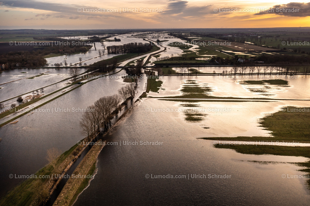 10049-51826 - Hochwasser im Großen Bruch | Stockfoto und Bilderpool mit Bildmaterial aus Deutschland, dem Harz, Halberstadt, Quedlinburg, Wernigerode und weltweit. Qualitativ hochwertige und professionelle Fotos anschauen und kaufen. - Realisiert mit Pictrs.com