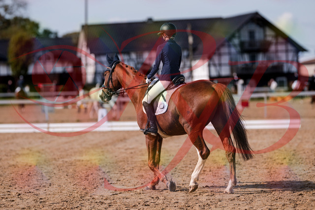 2026_10_03_Siefer-Hof_123658_Z81_34495590 | Professionelle Reitsport-, Turnier- und Eventfotografie von Robert Broda. Galerien mit ausgewählten und bearbeiteten Bildern direkt online ansehen und bestellen.