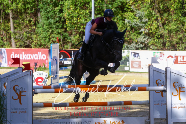 DKP43438 | Turniersportfotografie; Pferdefotografie; Dressurfotografie