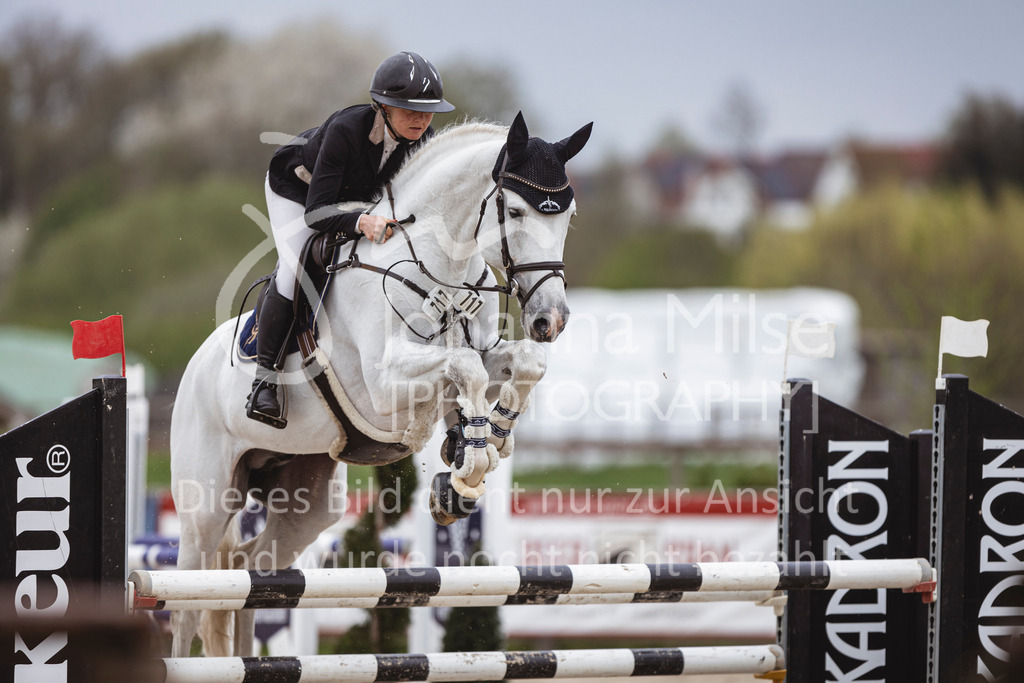 250417_Springpferde-L1-218 | Deine schönsten Turniermomente als professionelle Fotos! Entdecke hochwertige Pferdesport-Fotografie im Online-Shop. Jetzt Fotos finden & bestellen!