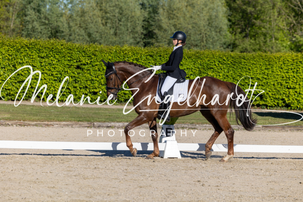 7I8A8455 | melanie-engelhardt-photography - Realisiert mit Pictrs.com