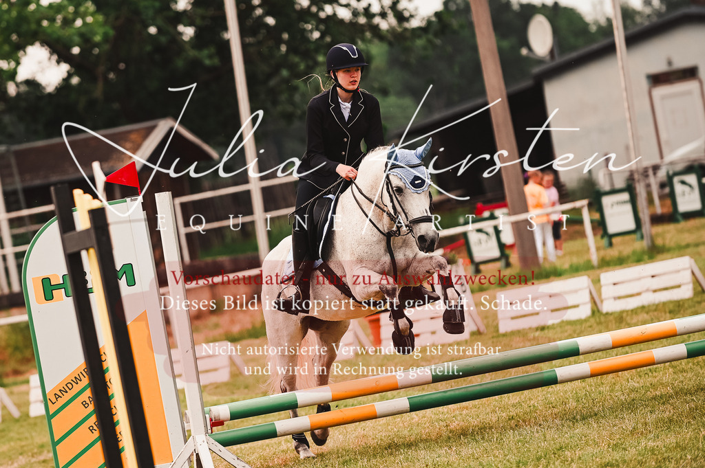 DSC_6955 | Pferde- und Turnierfotografie in Westsachsen. Pferdeportraits, Auftragszeichnungen und intuitive Kunst.