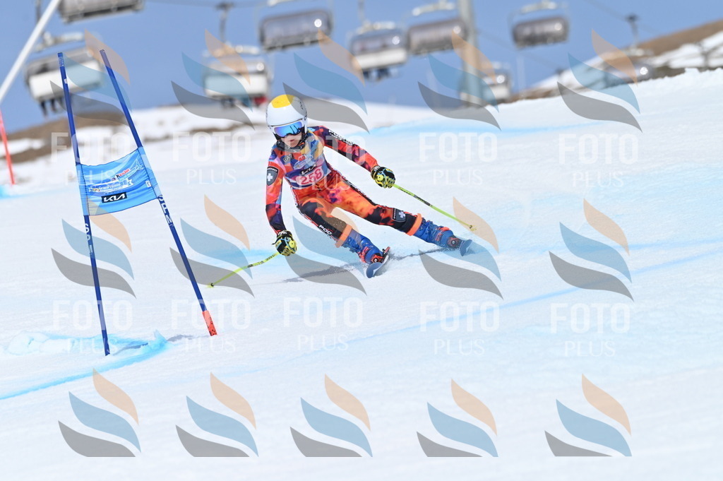 BGV_2030 | holidayphoto