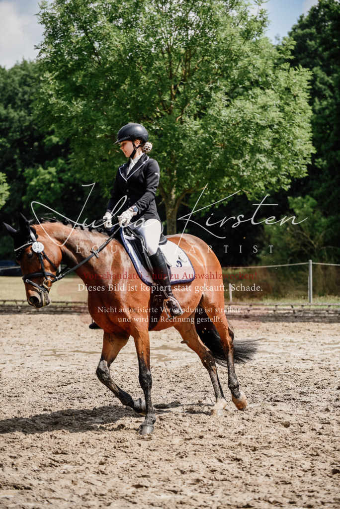 DSC_0898 | Pferde- und Turnierfotografie in Westsachsen. Pferdeportraits, Auftragszeichnungen und intuitive Kunst.
