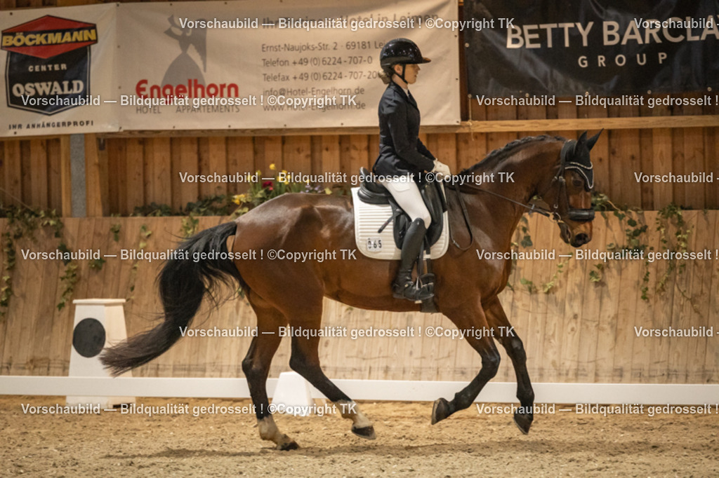 _D5A0212 | Emotionale Pferde- & People-Fotografie rund um Heidelberg, Leimen & Umgebung. Natürliche Fotos von Pferd, Mensch & Familie. Jetzt Termin sichern!