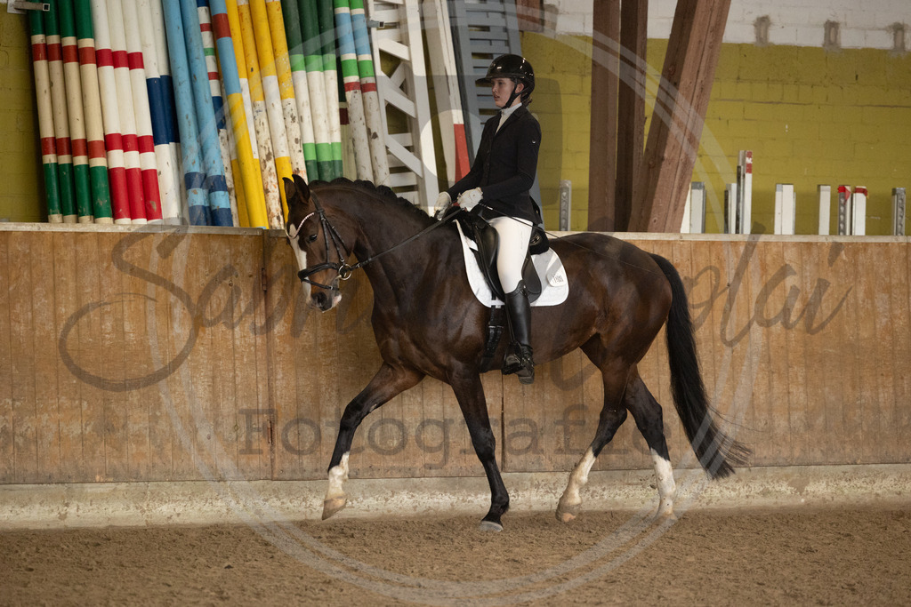 994A8783 | sabrinanicolaifotografie - Realisiert mit Pictrs.com