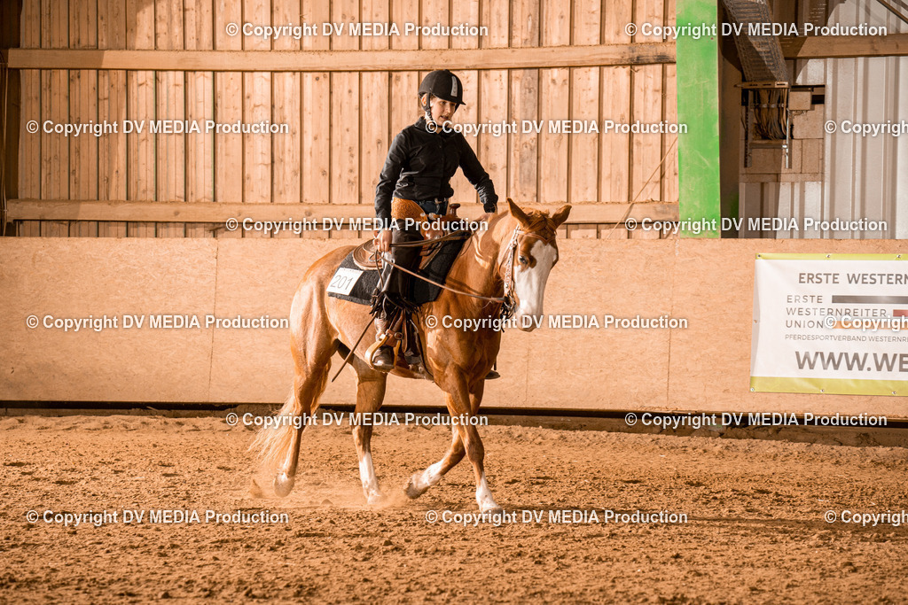 BAL03006 | dv-media-shop - Realisiert mit Pictrs.com