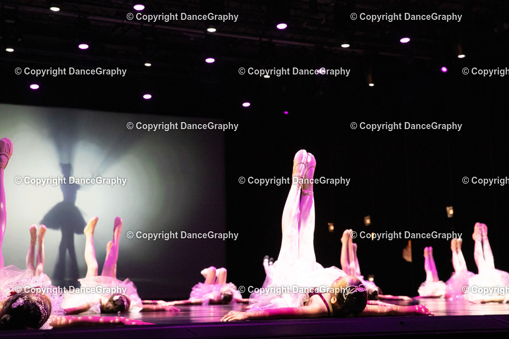 GPHY4439 | DanceGraphy - Realisiert mit Pictrs.com