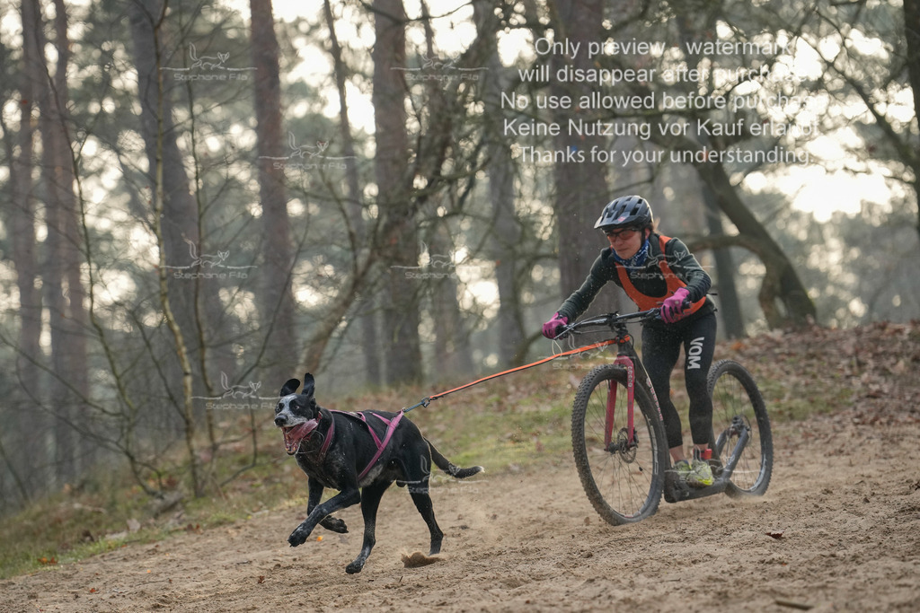 Scooter1-109 | stephaniefillaphotographie - Realisiert mit Pictrs.com