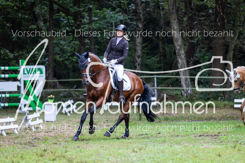 HB-A-Dressur-020 | MomenTaufnahmen Pferdesportfotos