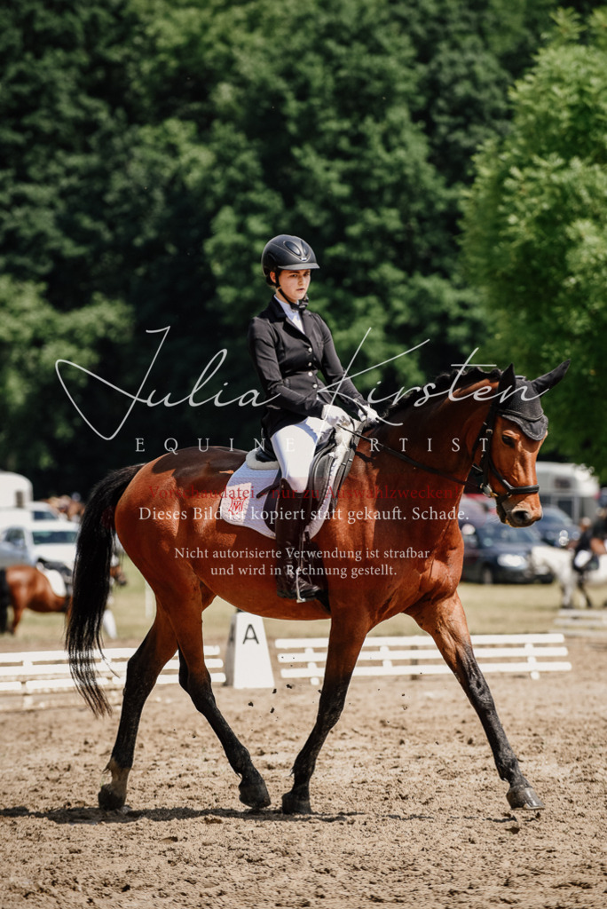 DSC_0995 | Pferde- und Turnierfotografie in Westsachsen. Pferdeportraits, Auftragszeichnungen und intuitive Kunst.