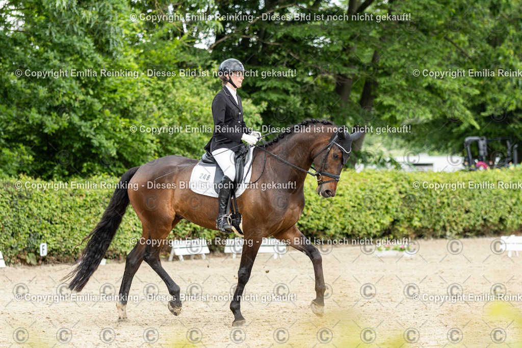 CL5A1365 | Emilia Reinking Fotografie - Realisiert mit Pictrs.com