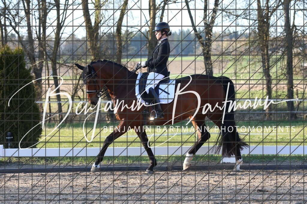 AZ2A6957 | Benjamin Bartmann Photomoments