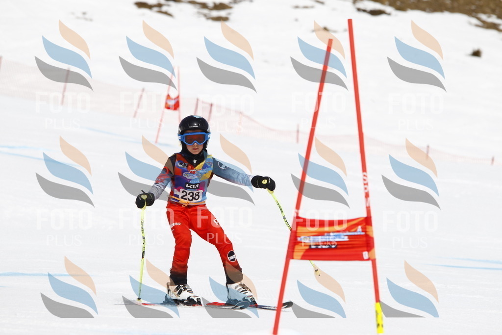 _U3G6058 | holidayphoto