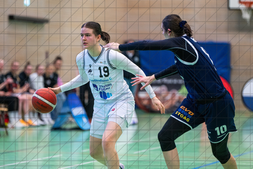 2. DBBL Nord 24/25 | 02.03.2025 | BBC OS vs. New Basket Oberhausen | 2. DBBL Nord 24/25 | 02.03.2025 | BBC OS vs. New Basket Oberhausen - - - - - CREDIT, www.bullenfotos.de, Martin König, Hörner Weg 40, D-49078 Osnabrück, +4917663732967, Nutzung und Weitergabe nur zu den vereinbarten Zwecken. Presseanfragen an Urheber. Alle Rechte beim Urheber. - - - - - - Realisiert mit Pictrs.com
