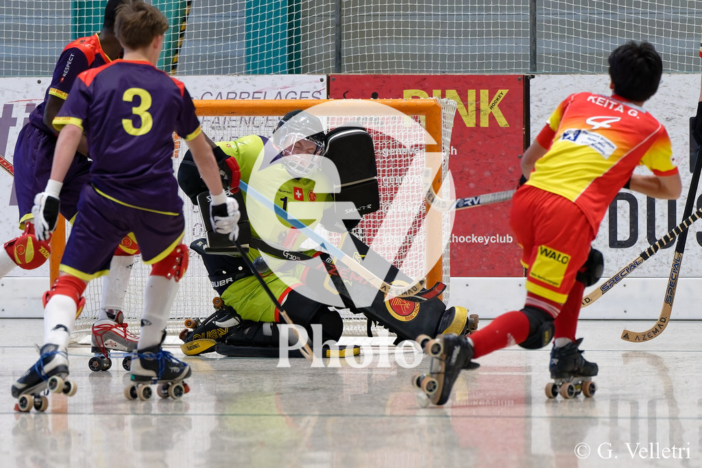 DSC_6174 | Velletri Photo