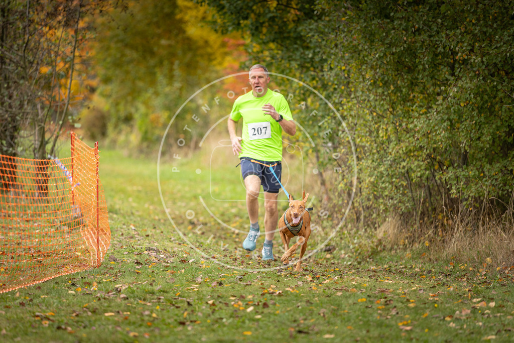 Pfotenfotografie_DV3A4023 | Hundefotografie, Tierfotograf, Pfotenfotografie, Fotoshooting Hund, Hunde Portrait, Hundesport, Hundeportraits, Heideshooting, Hunde, Sportfotograf, Hundefotograf, Turnierhundsport, THS,  - Realisiert mit Pictrs.com