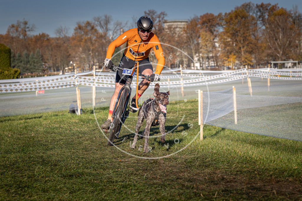 CaniXpix_0L8A4427 | Hundefotografie, Tierfotograf, Pfotenfotografie, Fotoshooting Hund, Hunde Portrait, Hundesport, Hundeportraits, Heideshooting, Hunde, Sportfotograf, Hundefotograf, Turnierhundsport, THS,  - Realisiert mit Pictrs.com