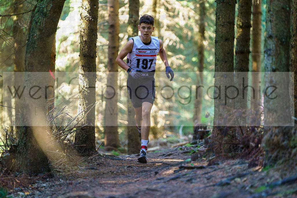 DP Altenberg | Deutschlandpokal, Altenberg - 19.-21.09.2025