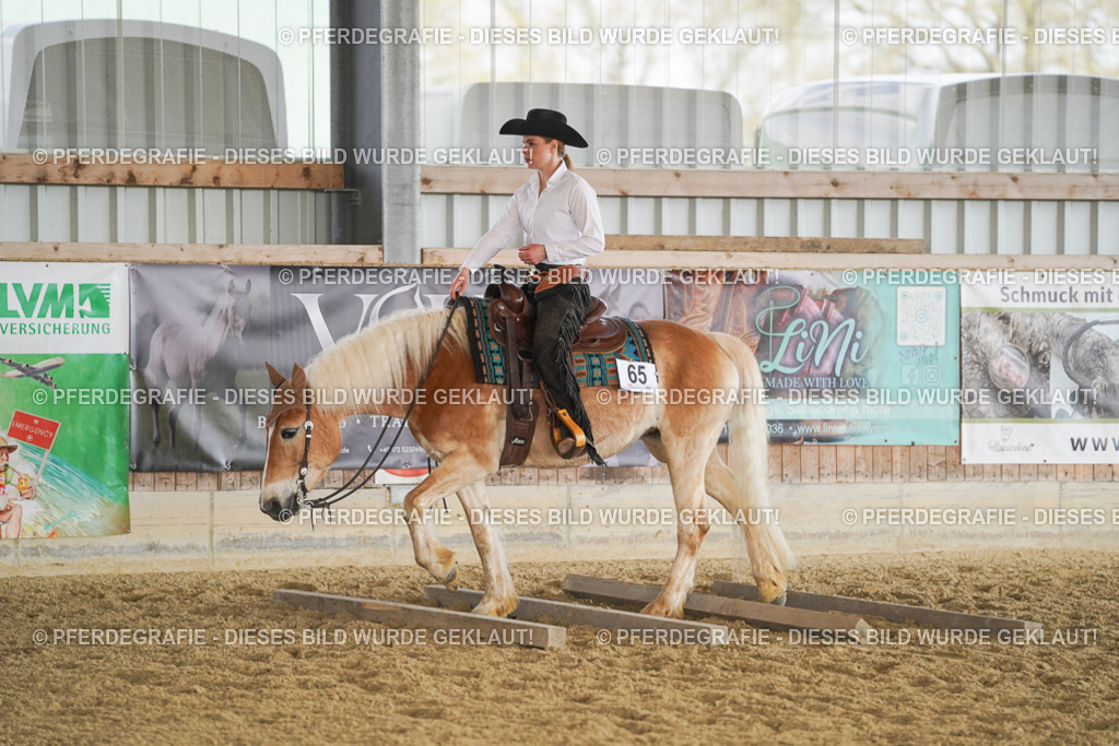 DSC01182 | Pferdegrafie