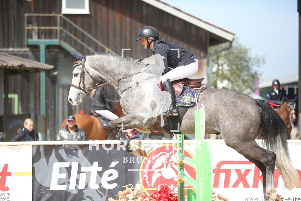 PP014024 | Willkommen bei Brunnmayr - Design & Fotografie – Ihrem Spezialisten für Reitturniere und Pferdeveranstaltungen in Oberösterreich, Salzburg und Bayern! Seit über 17 Jahren sind wir leidenschaftlich dabei.