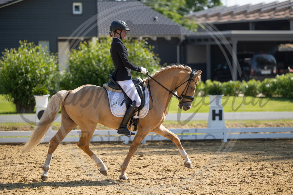 994A3126 | sabrinanicolaifotografie - Realisiert mit Pictrs.com