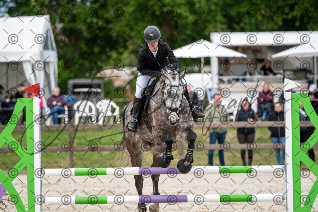 KPT_7283 | andre_photographic