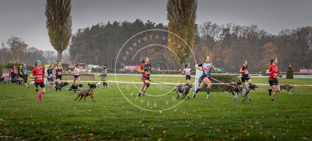 CaniXpix_DV3A8824 | Hundefotografie, Tierfotograf, Pfotenfotografie, Fotoshooting Hund, Hunde Portrait, Hundesport, Hundeportraits, Heideshooting, Hunde, Sportfotograf, Hundefotograf, Turnierhundsport, THS,  - Realisiert mit Pictrs.com