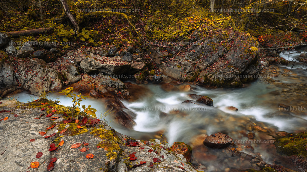 DSC_9947 | invaluablemoments.com - Realisiert mit Pictrs.com