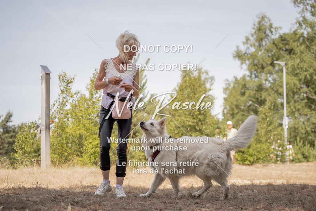 nelerasche_soDD2_217 | nelerasche