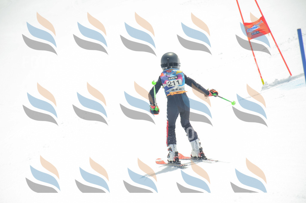 _ELE7053 | holidayphoto