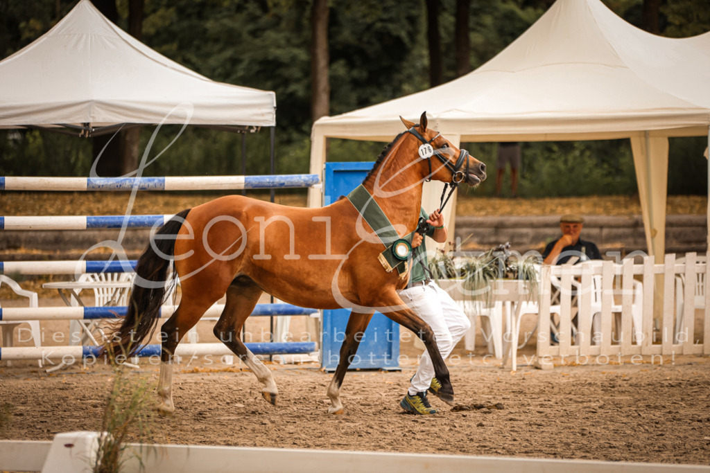 08.So00047 | Leoni Ertmer Photography - Realisiert mit Pictrs.com