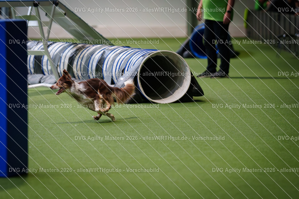 allesWIRTHgut_Tierfotografie-DVG_Agility_Masters_2026-15_05-7R502011 | Professionelle Tierfotografie in Mönchengladbach von Daniel Wirth (allesWIRTHgut). Liebevolle & natürliche Bilder von Hunden & Katzen für unvergessliche Erinnerungen.
