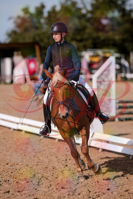 2026_10_03_Siefer-Hof_120032_Z81_02542395 | Professionelle Reitsport-, Turnier- und Eventfotografie von Robert Broda. Galerien mit ausgewählten und bearbeiteten Bildern direkt online ansehen und bestellen.