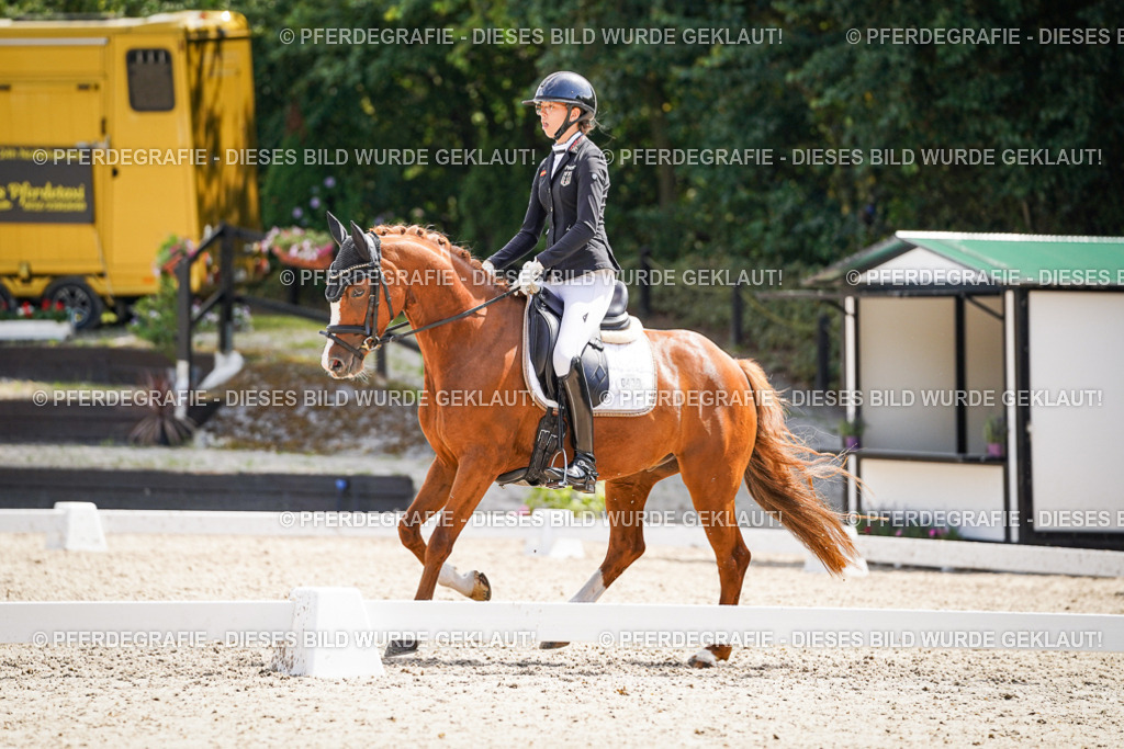 DSC00759 | Pferdegrafie