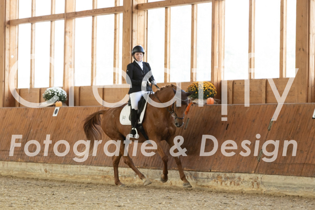 IMG_5803 | Creatify Fotografie