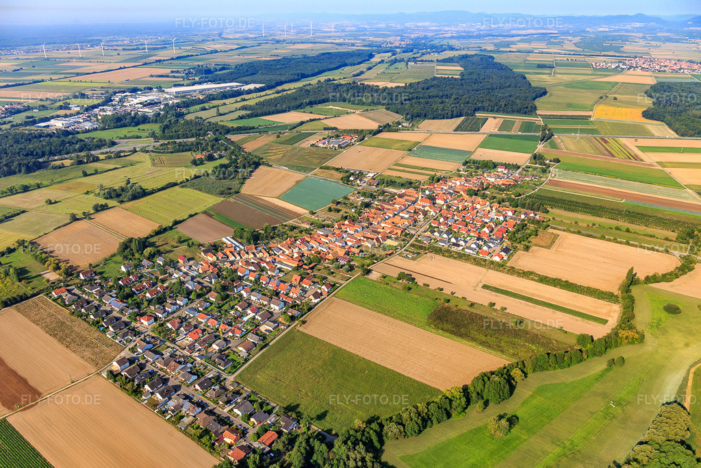 Luftbild: Ortsansicht von Osten in Erlenbach bei Kandel im Bundesland Rheinland-Pfalz in Deutschland. Foto: IMG_117282.jpg vom 25.08.2019 durch Werner Riehm/FLY-FOTO.de