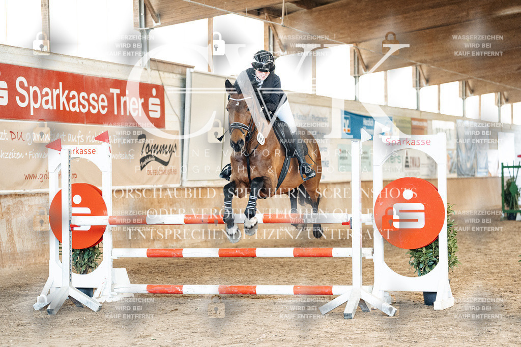 CK904870 | Turnierfotografie Pferdefotografie Trier Rheinland-Pfalz Pferdesport Reitsport Tierfotografie Sportfotografie Pferdevideo Pferdevideografie Equestrianvideography equestrianphotography  - Realized with Pictrs.com