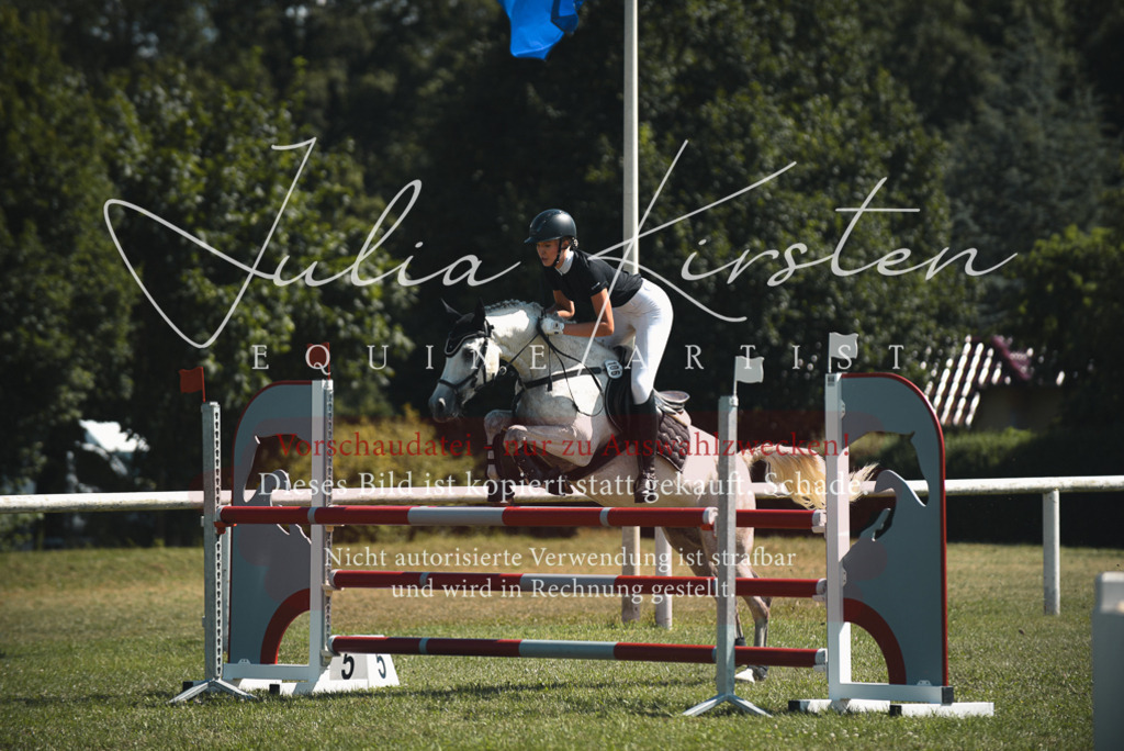 DSC_6890 | Pferde- und Turnierfotografie in Westsachsen. Pferdeportraits, Auftragszeichnungen und intuitive Kunst.