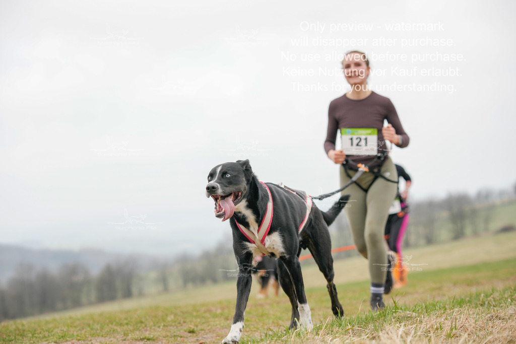 Canixlong-442 | stephaniefillaphotographie - Realisiert mit Pictrs.com