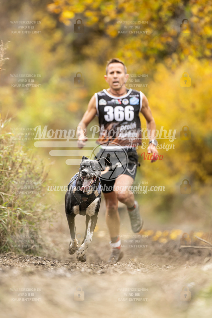 MompixPhotography_ICF_WC_2024_SA_Run_-285 | PayLife