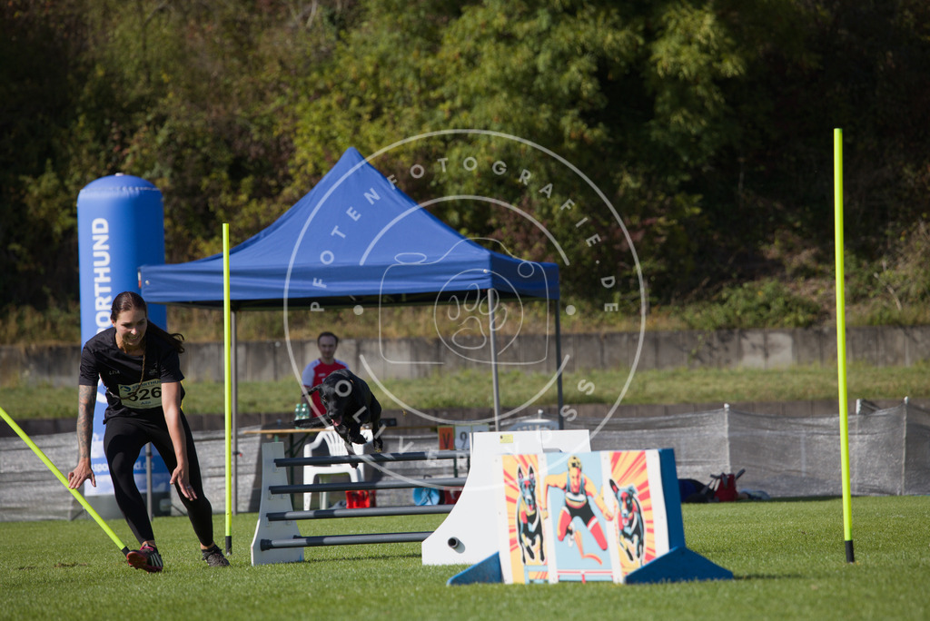 0L8A8600 | Hundefotografie, Tierfotograf, Pfotenfotografie, Fotoshooting Hund, Hunde Portrait, Hundesport, Hundeportraits, Heideshooting, Hunde, Sportfotograf, Hundefotograf, Turnierhundsport, THS,  - Realisiert mit Pictrs.com