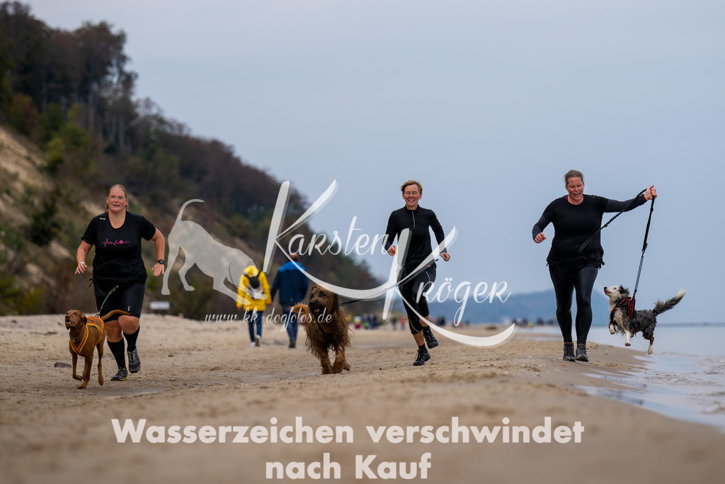 1232_ZZ92119 | kk-dogfotos