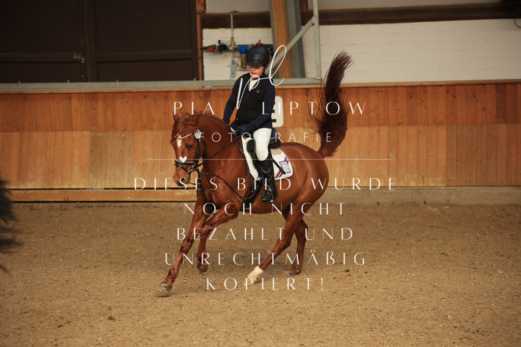 IMGT5442 | pl-fotografie