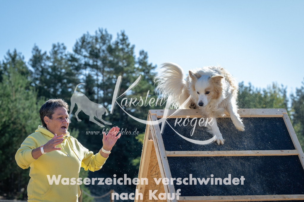 1136_ZZ91577 | kk-dogfotos