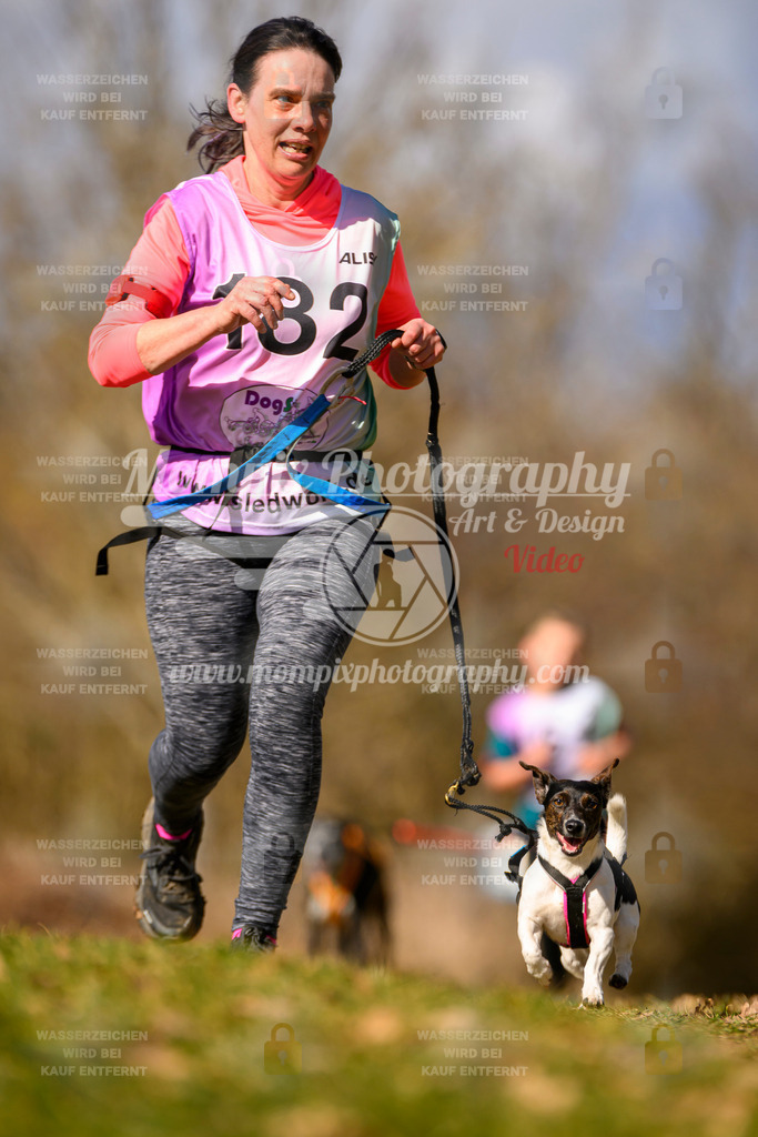 MompixPhotography_10Schwabentrail2026_SO_Canicross-121 | PayLife