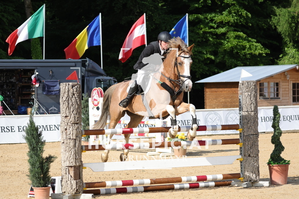 0P6A6234 | Willkommen bei Brunnmayr - Design & Fotografie – Ihrem Spezialisten für Reitturniere und Pferdeveranstaltungen in Oberösterreich, Salzburg und Bayern! Seit über 17 Jahren sind wir leidenschaftlich dabei.